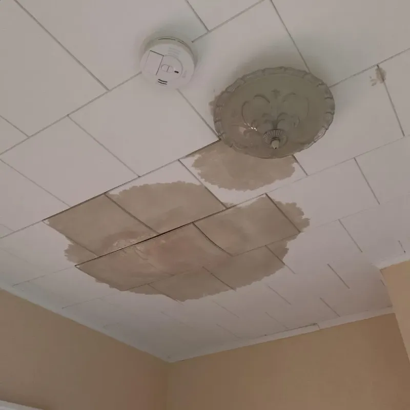Ceiling Water Damage Repair in Hutchins, TX
