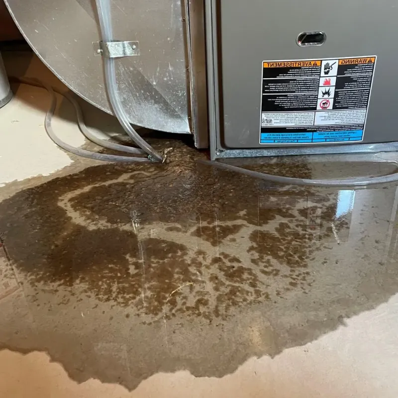 Pipe Burst and Leak Restoration in Hutchins, TX