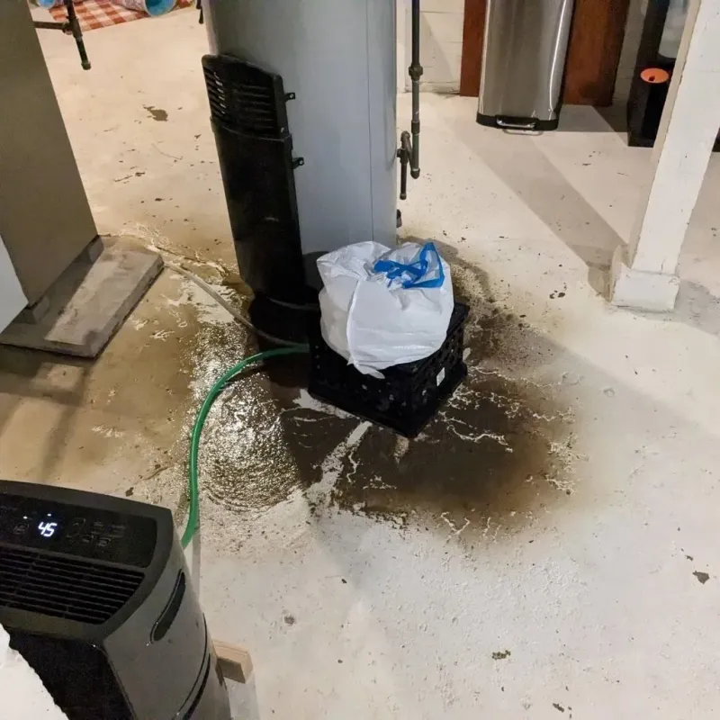 Sewage Backup Cleanup Service in Hutchins, TX